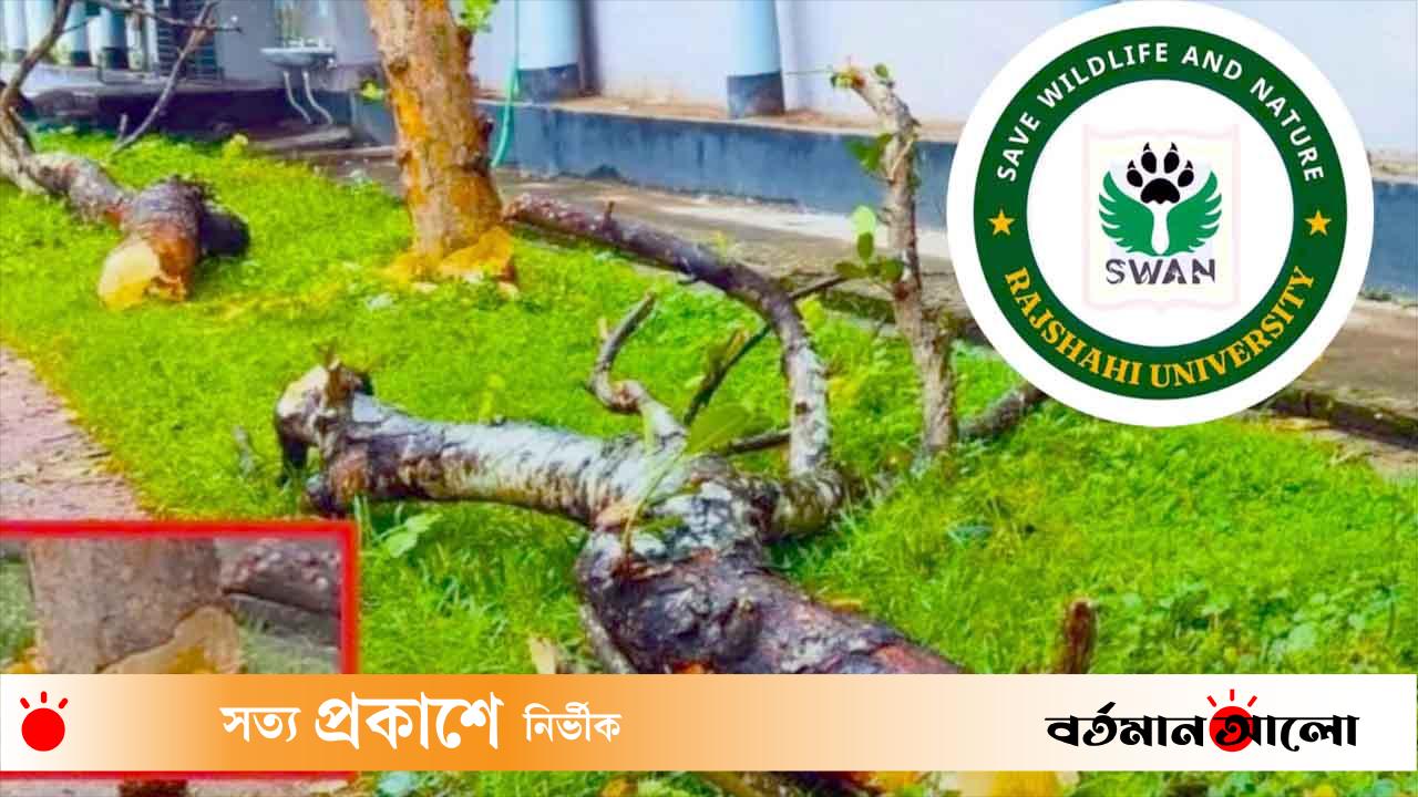 নবাব আবদুল লতিফ হলে গাছ কাটার ঘটনায় সোয়ানের নিন্দা