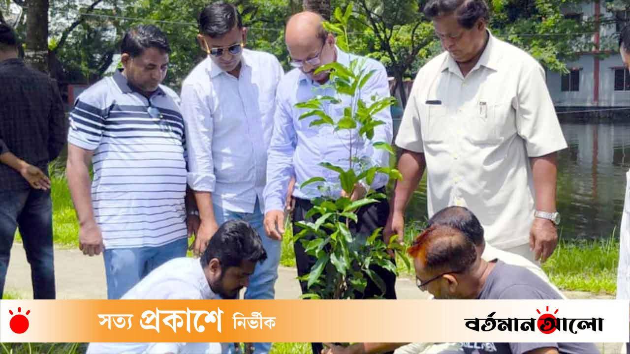 টুঙ্গিপাড়ায় বৃক্ষরোপণ ও ফুটবল বিতরণ করলেন বিএনপি নেতা মাসুদ